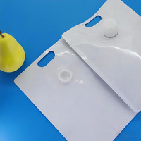 Pochette à bec en PE de qualité alimentaire 3L personnalisable avec support et cornue pour l'emballage de liquides dans les industries maritimes