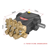 Pompe haute pression à trois pistons en cuivre noire/dorée compatible INTERPUMP E2 EVOLUTION