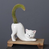 Pot de fleurs en céramique émaillée, motif queue de chat de dessin animé créatif, durable, avec trou de drainage, pour la maison, le jardin, le bureau, les cadeaux pour cactus