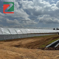 Serre agricole hydroponique multi-chapelles de grande envergure pour la culture des baies, avec couverture en film plastique PE