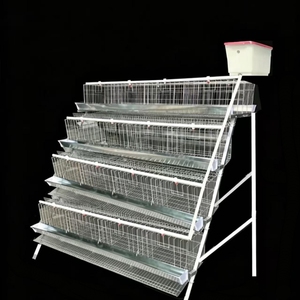 <span class=keywords><strong>Prix</strong></span> d'usine, équipement avicole durable, cages pour poules pondeuses, cages pour poulets, pour l'élevage de cailles - Product Image 6