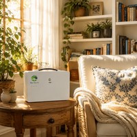 Générateur solaire XDQ Pioneer1-500 1kWh LiFePO4 314Ah, station d'alimentation portable 500W MPPT pour utilisation hors réseau, OEM personnalisé