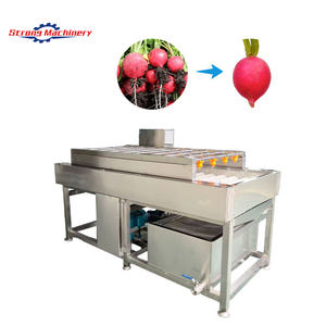 Máquina de lavado de vegetales con cepillos, para jengibre, patatas, zanahorias, máquina de lavado de frutas y verduras con tambor paralelo - Product Image 5