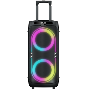 Caja de Subwoofer de 8 Pulgadas Amplificada con Luces LED de Colores Intermitentes, Altavoz de Plástico Profesional Tipo <span class=keywords><strong>Boombox</strong></span> 3 - Product Image 2