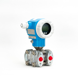 Endress+Hauser PMD75 Compteur différentiel et PMC51 Compteur absolu - Product Image 4