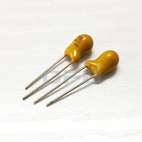 T356G106K035AT 10uF ± 10% Condensateur au tantale 35V Trou traversant Composants électroniques Condensateur au tantale T356G106K035AT