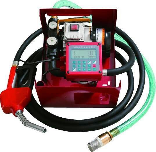 12V24V 220V Portable Fuel Transfer Pump