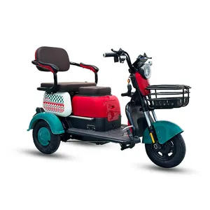 Tekerlekli Scooter üç hareketlilik yetişkin Trike paneli güneş 1000W araç 3 motorlu Scooter engelli kişiler için şehir elektrikli üç tekerlekli bisiklet