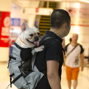 Großhandel Günstiger Preis Groß Atmen Sie frei im Freien wasch bare Haustier Hunde tasche zum Einkaufen - Product Image 4