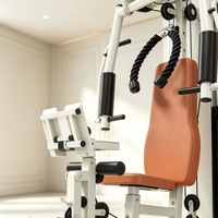 Machine de musculation multifonctionnelle tout-en-un en acier inoxydable de qualité commerciale pour club de fitness professionnel : presse à jambes, machine à ramer assise et exercices de tirage à câble