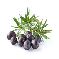 Huile Essentielle Pure à 100% de Haute Qualité, 30ml, Bio, aux Baies de Genévrier et Arbre à Thé, Extrait en Vrac du Népal, Hydratation de la Peau, Anti-Poches