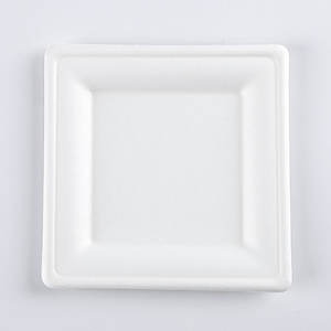 <span class=keywords><strong>Assiette</strong></span> carrée <span class=keywords><strong>jetable</strong></span> de haute qualité de 10 pouces plateau à gâteau cartons de bonne qualité sucre bagasse boîte à lunch <span class=keywords><strong>jetable</strong></span> - Product Image 5