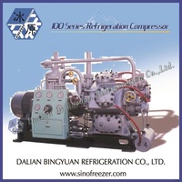 Compresseur de réfrigération industriel de Dalian pour usine de glace