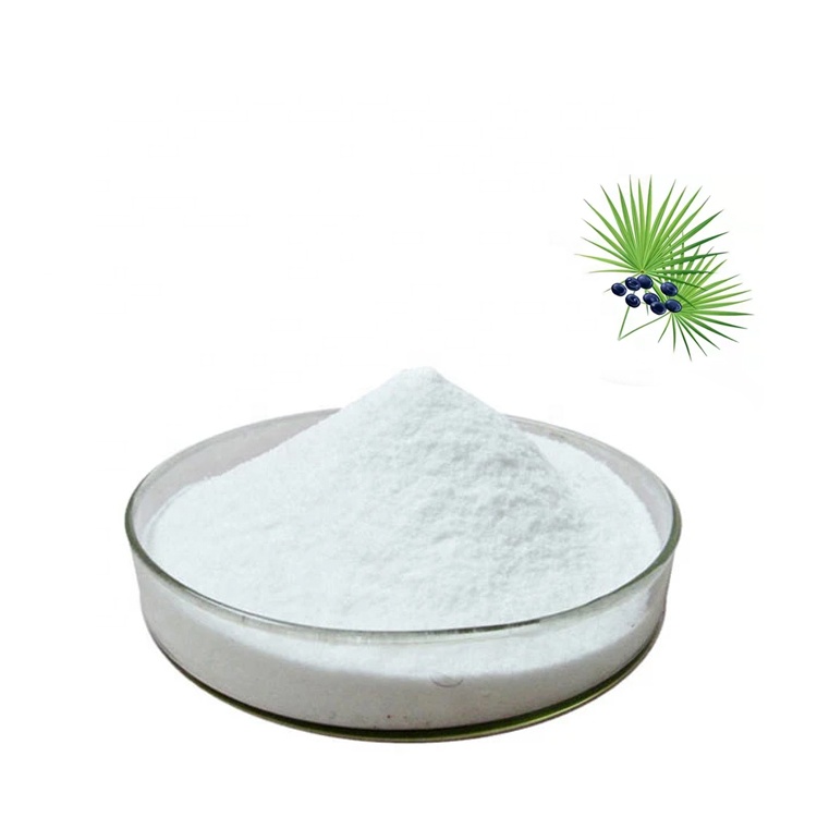 Proveedor de fábrica Extracto de fruta de Saw Palmetto 25% 45% Polvo de ácido graso Extracto de Saw Palmetto