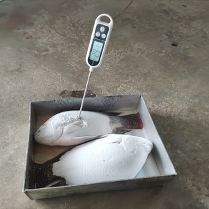 <span class=keywords><strong>ตู้</strong></span>แช่แข็งเคลื่อนที่ลดราคาพิเศษ -70~ -50 องศา ระบบแช่แข็งเร็ว พร้อมห้องเย็นอุณหภูมิต่ำในตัว - Product Image 6