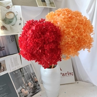 Anna Hydrangea bunga yang diawetkan, Kit kerajinan bunga DIY dekorasi kotak pengisi mawar abadi bunga kering