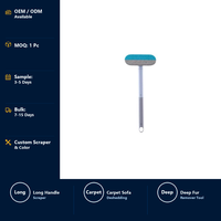 Brosse et grattoir pour enlever les poils d'animaux pour chats, outil de démêlage à long manche pour canapé, lit et tapis