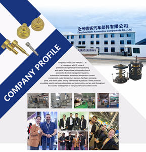 Termostato 8-97602048-0 per ISUZU 6 hk1 FVR34 FVZ34 ZX330 ZX360 8976020480 - Product Image 6