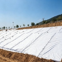 Géotextile tissé en polypropylène perméable PP 200 g/m² pour le contrôle de la boue, le renforcement routier et la stabilisation des sols meubles