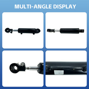 Suministro del fabricante, diferentes modelos, piezas de montacargas, cilindro de inclinación A30N450 2-3T, cilindro de cambio lateral con OEM - Product Image 2