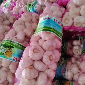 Ail frais chinois 4 KG Emballage en sac en filet Exportation vers Dubaï Taille 5cm 5.5cm <span class=keywords><strong>Prix</strong></span> bas Ail frais pur blanc - Product Image 1