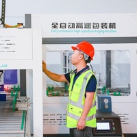 Máquina de Empaquetado Automática Servo de 8-10 Cajas (OEM/ODM) para Línea de Producción de Suelos SPC