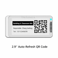 Étiquettes électroniques de rayonnage E-Ink 2,9 pouces BLE5.0 à mise à jour automatique pour système EAS, étiquette de contrôle de point de passage E-paper Guard Patrol