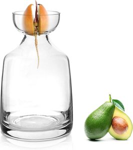 <span class=keywords><strong>Vase</strong></span> à fleurs d'<span class=keywords><strong>avocat</strong></span> en verre moderne et kit de culture avec plante de gland pour décoration intérieure de bureau à la maison - Product Image 5