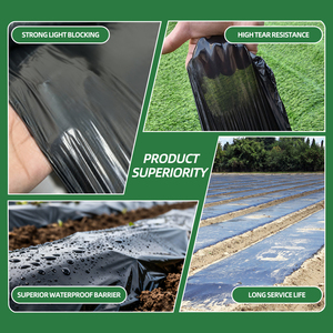 Film <span class=keywords><strong>de</strong></span> paillage noir moulé par soufflage pour serres <span class=keywords><strong>de</strong></span> culture <span class=keywords><strong>de</strong></span> fraises – Garde les fruits propres, anti-mauvaises herbes, protection UV, couverture <span class=keywords><strong>de</strong></span> sol - Product Image 2