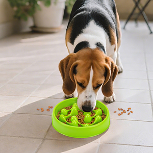 Gamelle interactive anti-glissement à motif ondulé en PP pour alimentation lente, matériau sûr et durable, pour toutes les races de chiens - Nouveauté 2026 - Product Image 4