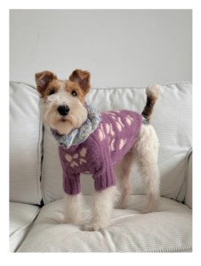 Bonita ropa para mascotas, suéter de lana ecológico súper cálido de doble capa para Dachshund Greyhounds, perros y gatos pequeños y medianos - Product Image 6
