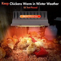 Chauffe-couveuse de poulet de haute qualité pour poussins