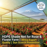 Filet d'ombrage agricole en HDPE pour rizières tropicales d'Asie du Sud-Est : Réduction de la chaleur et des UV