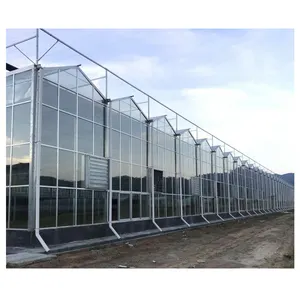 vertical farming glass greenhouse