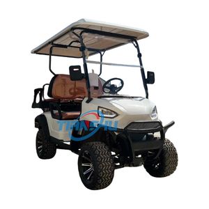 รถกอล์ฟไฟฟ้าที่นั่งเดียวรถกอล์ฟ - Product Image 2