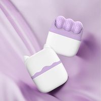 Rouleau facial rafraîchissant 2 en 1 pour hommes et femmes, outil de soin de la peau à main raffermissant avec étui de voyage