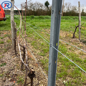 Poteaux de treillis métalliques galvanisés pour vignes et plantes grimpantes, pour vergers de raisins et vergers de pommes - Product Image 2