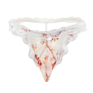 Tanga de Encaje Blanco para Hombre, Transpirable, Sexy, de Cintura Baja, con Bordado de Malla Transparente - Product Image 1