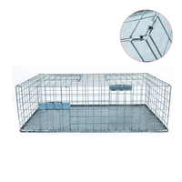 Piège à pigeons professionnel - Cage en fil métallique robuste pour attraper les oiseaux vivants avec porte automatique - pour toit/balcon