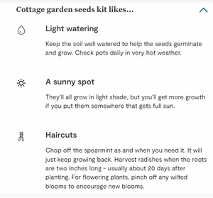 Kit de fleurs Cottage Garden 6 pièces, pack de plantes pour pépinière à domicile, pour centre commercial, profitez de votre collection de pots de fleurs - Product Image 6