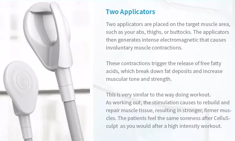 High Intensity 150Hz Ems Fat Burning Machine Sgs Approved