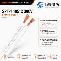 SPT-1 18AWG Parallelkabel 2-adrig |   Schwarzes PVC-Lampenkabel 300V 105C FT2 Instrumentierung IP44