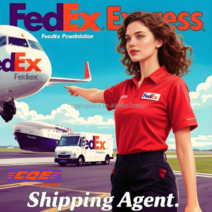 Envío Gratis, Logística Puerta a Puerta Air+Express DDP para Mercancías Especiales y Generales, de China a Polonia a Través de CQE <span class=keywords><strong>Logistics</strong></span> Insurance - Product Image 1