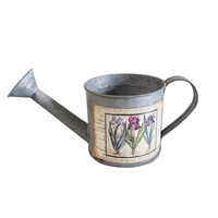 Vente en gros d'arrosoir vintage personnalisé maison jardin plante bougie pot d'eau galvanisé gris pot de fleur jardinière