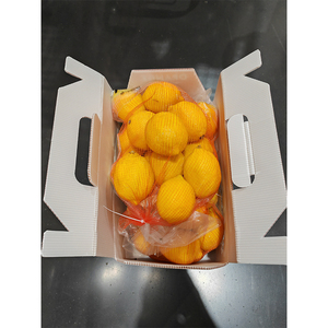 Yuexin chuối khoai tây cam vận chuyển Hộp giấy carton tùy chỉnh in chống nấm mốc không thấm nước PP SPC hộp - Product Image 3