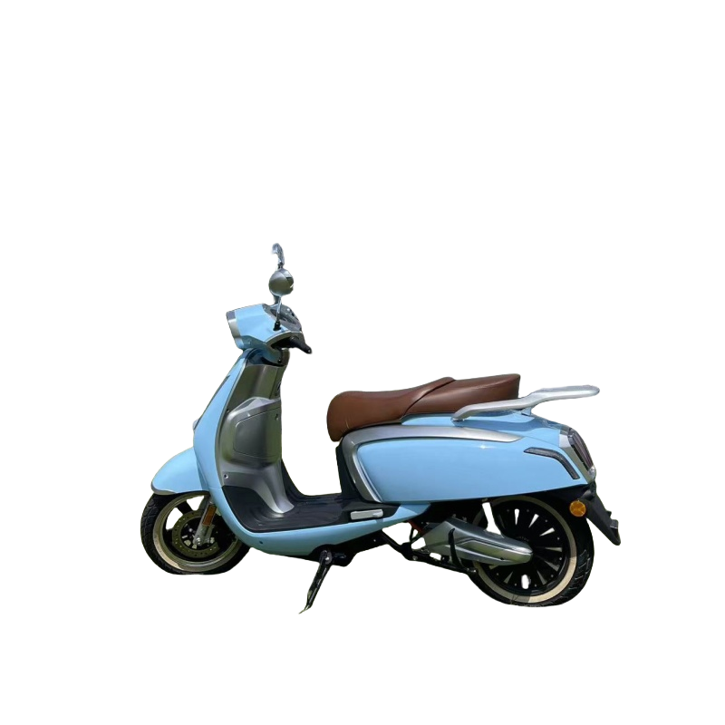 Smart 3000W Totoro Electric Scooter Motorcycle