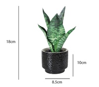 Plante verte artificielle de simulation, Orchidée tigrée avec pot en céramique, Bonsaï artificiel moderne et simple, Plantes vertes de bureau