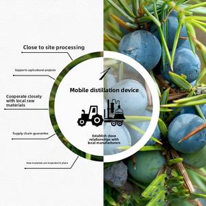 Huile essentielle distillée biologique de haute qualité Aromathérapie Soins de la peau Matière première Vente en gros Parfum sucré 100% Pure Natural Organic - Product Image 5