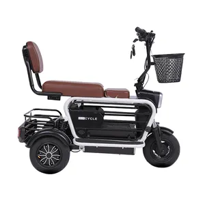 Paige Tricycle électrique 3 roues voiture pour animaux de compagnie voiture de sécurité pour bébé trike motorisé 300cc scooter 60v800w chariot trex moto passager