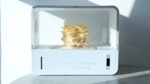 Modèles explosifs <span class=keywords><strong>click</strong></span> <span class=keywords><strong>and</strong></span> <span class=keywords><strong>Grow</strong></span> smart garden hydroponics desk smart garden sprout <span class=keywords><strong>grow</strong></span> machine - Product Image 4